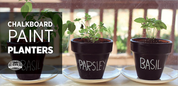 Three potted herbs with text: Chalkboard paint planters