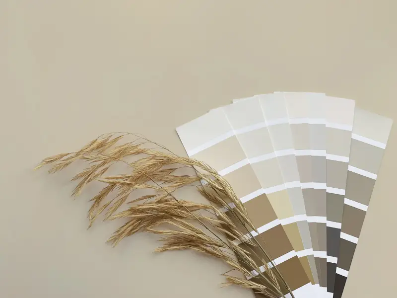 neutral paint swatches organized by brown and gray colors next to grain
